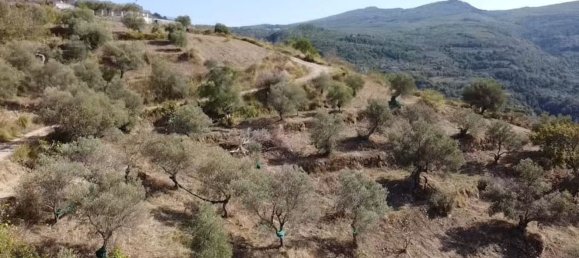 13500m² Land in Perdifumo, Italy No. 255409 9