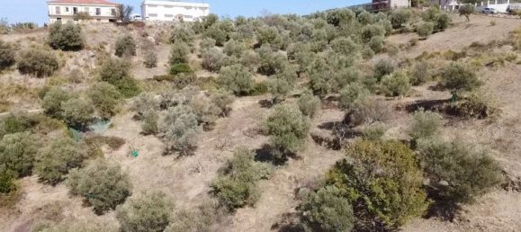 13500m² Land in Perdifumo, Italy No. 255409 6
