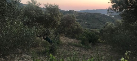 13500m² Land in Perdifumo, Italy No. 255409 4