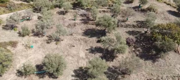 13500m² Land in Perdifumo, Italy No. 255409 5