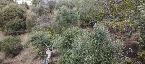 13500m² Land in Perdifumo, Italy No. 255409 7