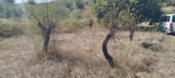 Terreno em Cartagena, Spain N.º 184829 6