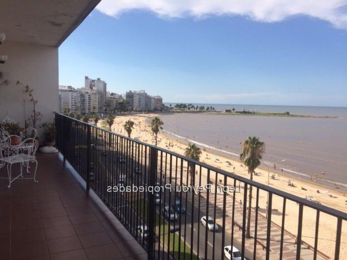 3 bedrooms Apartment in Montevideo, Uruguay No. 9415