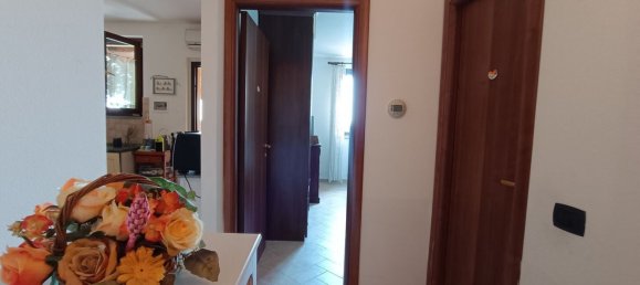 4 غرف نوم شقة في Monteverdi Marittimo, Italy رقم 315989 12