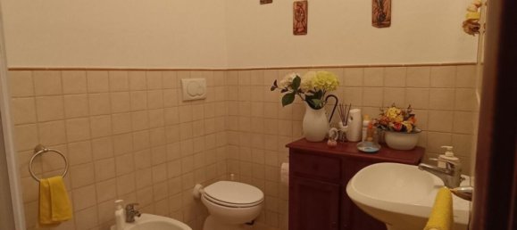 4 غرف نوم شقة في Monteverdi Marittimo, Italy رقم 315989 28