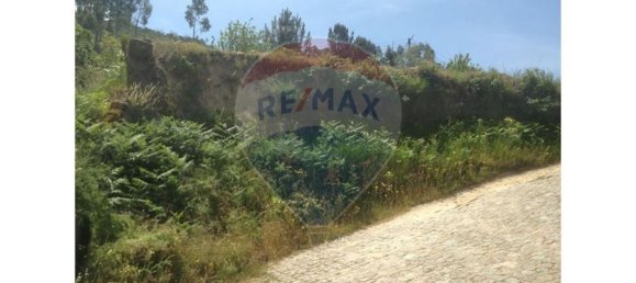 Terrain à Amarante, Portugal 435m² No. 60418 3