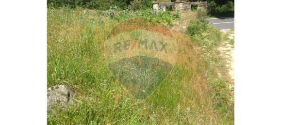 Terrain à Amarante, Portugal 435m² No. 60418 5