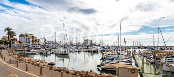 4 bedrooms Apartment in Palma de Majorca, Spain No. 1359 13