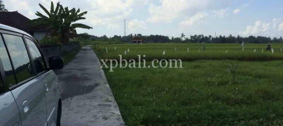 Земельный участок 2840м² в Tabanan, Индонезия № 3811 5