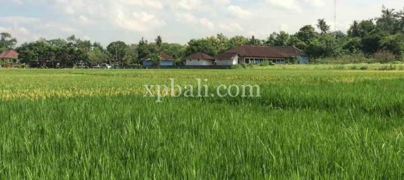 Земельный участок 2840м² в Tabanan, Индонезия № 3811 6