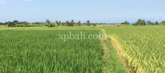 Земельный участок 2840м² в Tabanan, Индонезия № 3811 4