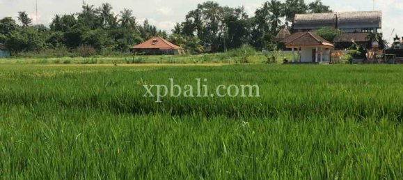 Земельный участок 2840м² в Tabanan, Индонезия № 3811 2