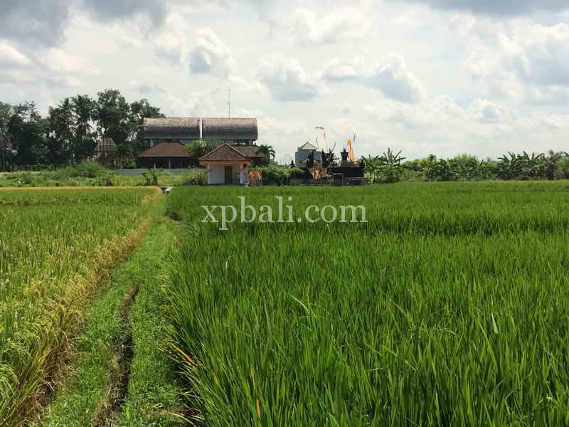 Земельный участок 2840м² в Tabanan, Индонезия № 3811