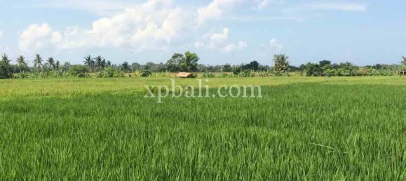 Земельный участок 2840м² в Tabanan, Индонезия № 3811 3