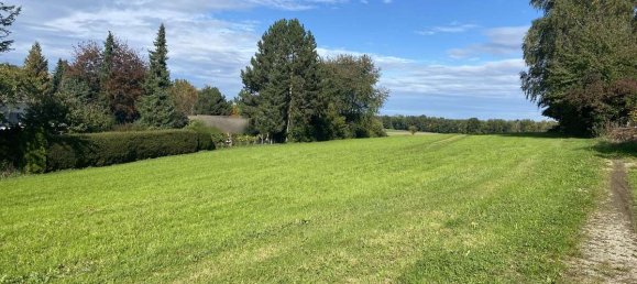 Terrain à Neu-Ulm, Germany 4821m² No. 15800 2