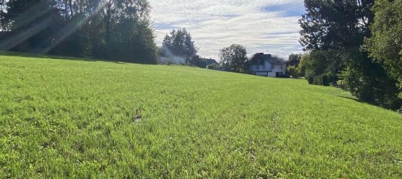 Terrain à Neu-Ulm, Germany 4821m² No. 15800 3