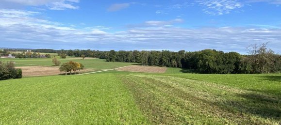 Terrain à Neu-Ulm, Germany 4821m² No. 15800 4