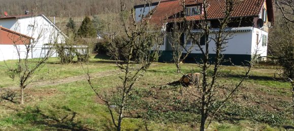 Grundstück in Lörrach, Germany, Nr. 45691 4