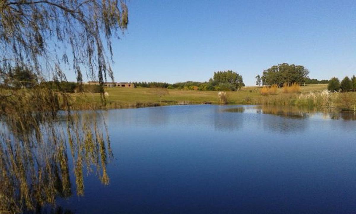  Farm in Maldonado, Uruguay No. 14789