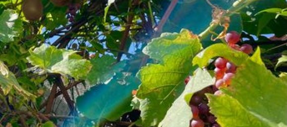 3 Schlafzimmer Wohnung in La Courneuve, France, Nr. 360415 5