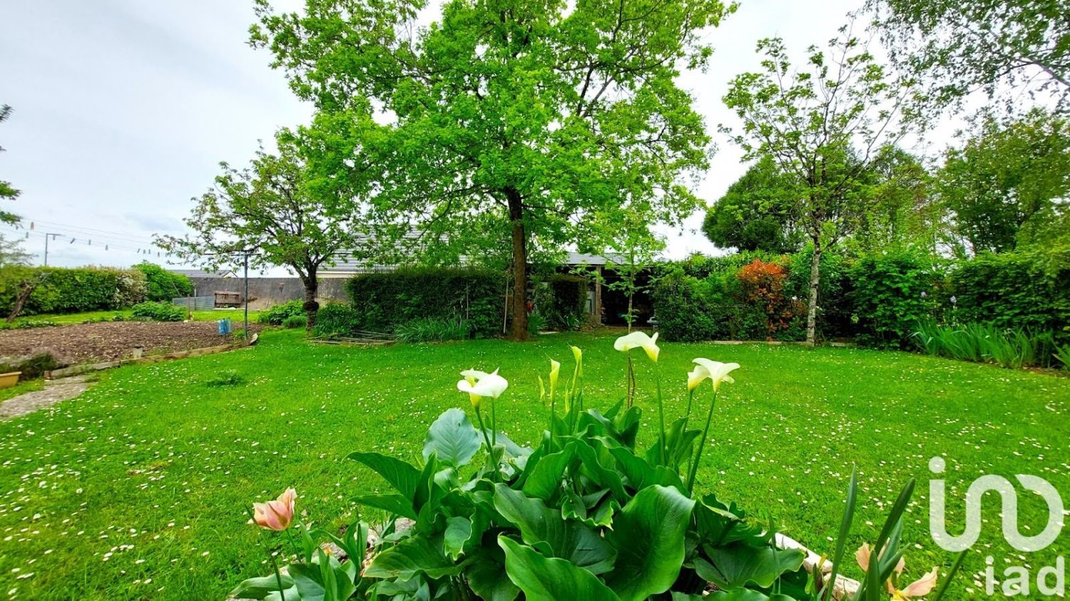 4 bedrooms House in Buzancais, France No. 237796