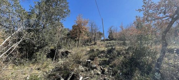 Grundstück in Pyrenees-Orientales, France 4607m², Nr. 287388 4