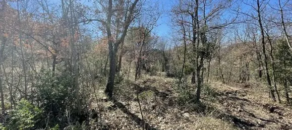 Grundstück in Pyrenees-Orientales, France 4607m², Nr. 287388 3