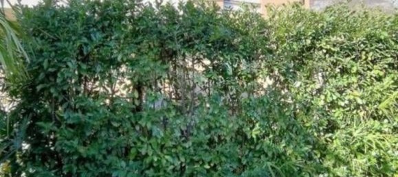 80m² Garage in Aldeno, Italy No. 288338 5