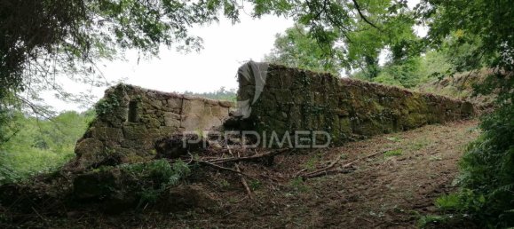 55250m² Land in Marco de Canaveses, Portugal No. 39566 8