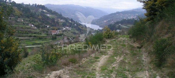 55250m² Land in Marco de Canaveses, Portugal No. 39566 10