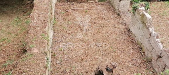 55250m² Land in Marco de Canaveses, Portugal No. 39566 30