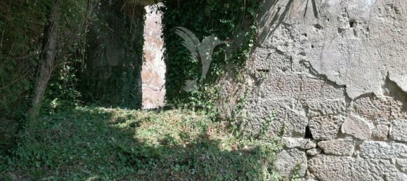 55250m² Land in Marco de Canaveses, Portugal No. 39566 13