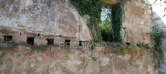 55250m² Land in Marco de Canaveses, Portugal No. 39566 25