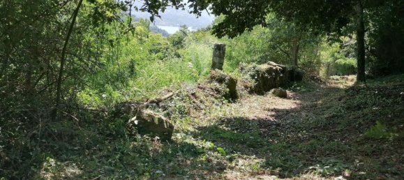 55250m² Land in Marco de Canaveses, Portugal No. 39566 3