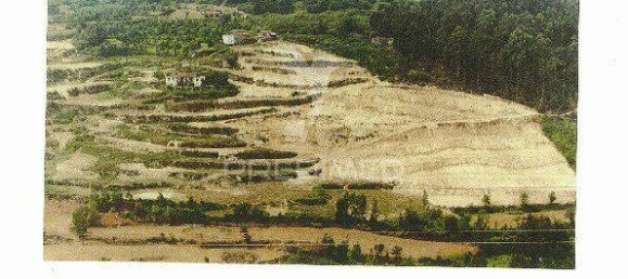 55250m² Land in Marco de Canaveses, Portugal No. 39566 6