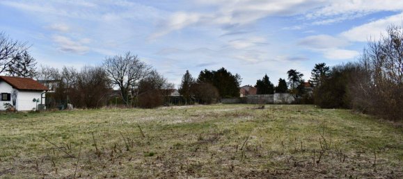 Земельный участок 4684м² в Траусдорф ан дер Вулька, Австрия № 164962 4