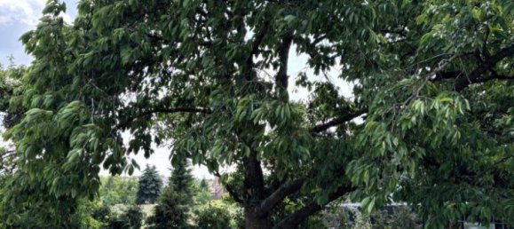 Casa de 5 habitaciónes en Borde, Germany No. 325420 7