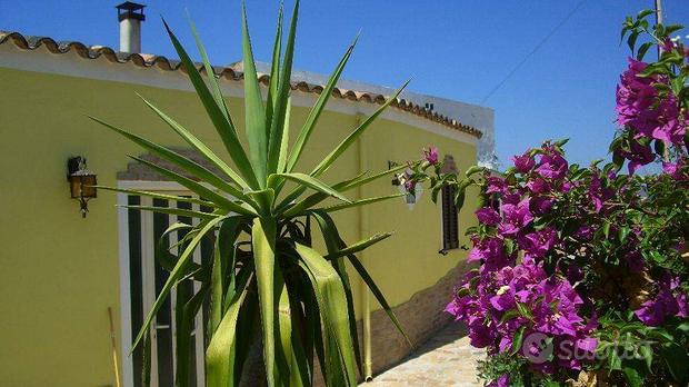 3 rooms Villa in Sardinia, Italy No. 254536