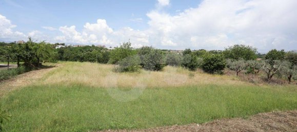 4 rooms Villa in Calvi, Italy No. 17936 12