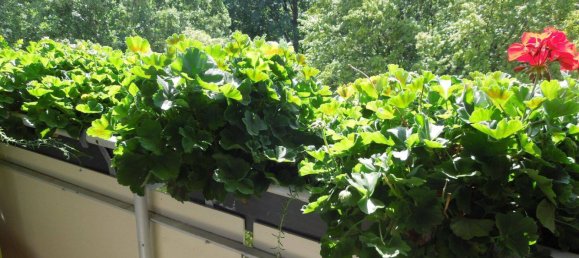 1 bedroom Apartment in Nuremberg, Germany No. 357305 4