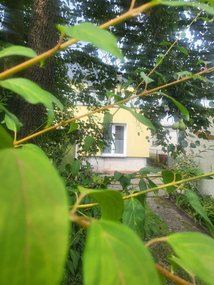 6 rooms Townhouse in Dortmund, Germany No. 267601