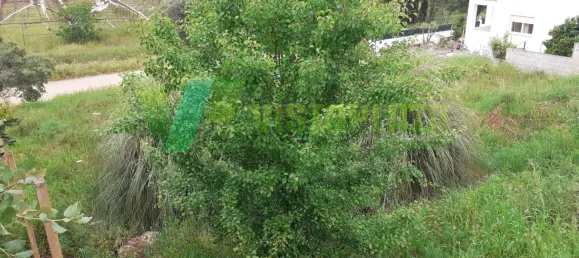 572m² Land in Mexilhoeira Grande, Portugal No. 75324 11