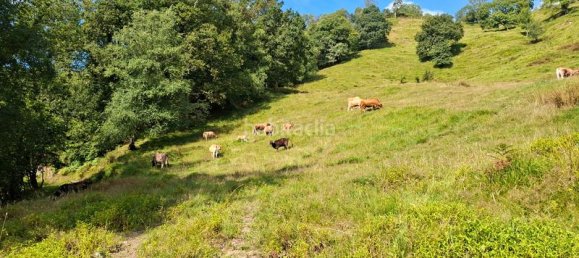 Casa T1 em Pilona, Spain N.º 173679 20