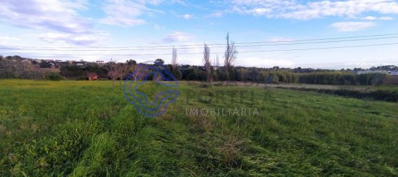 3 غرف نوم منزل في Torres Novas, Portugal رقم 14531 11