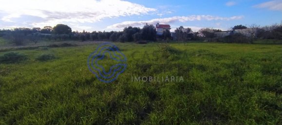 3 غرف نوم منزل في Torres Novas, Portugal رقم 14531 12