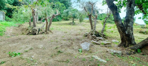 Terreno en Haute-Corse, France 928 m² No. 278842 10