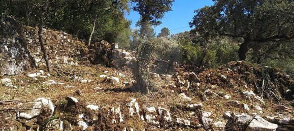 Casa de 2 dormitorios en Chao de Couce, Portugal No. 19476 17