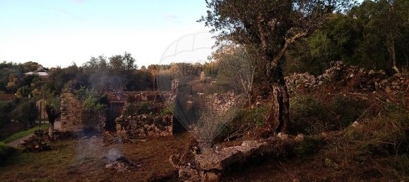 Casa de 2 dormitorios en Chao de Couce, Portugal No. 19476 6