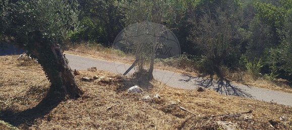 Casa de 2 dormitorios en Chao de Couce, Portugal No. 19476 12