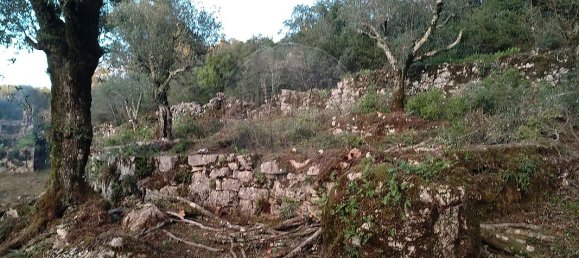 Casa de 2 dormitorios en Chao de Couce, Portugal No. 19476 4